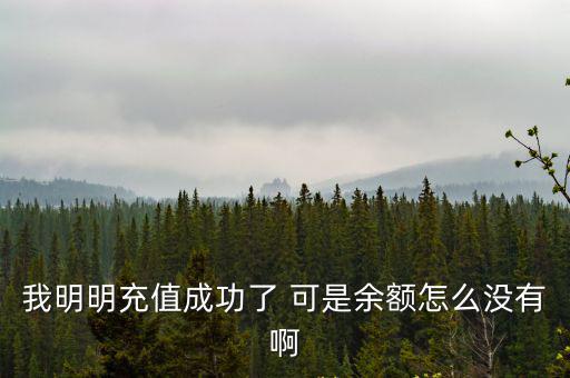 我明明充值成功了 可是余額怎么沒有啊