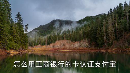 怎么設(shè)置工行轉(zhuǎn)賬認(rèn)證，怎么用工商銀行的卡認(rèn)證支付寶