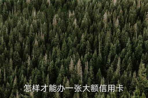 怎樣才能辦一張大額信用卡