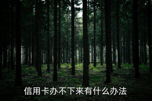 信用卡辦不下來有什么辦法