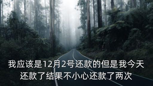 我應(yīng)該是12月2號還款的但是我今天還款了結(jié)果不小心還款了兩次