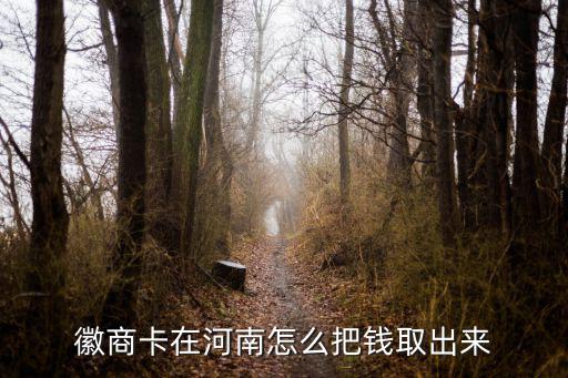 徽商卡在河南怎么把錢取出來