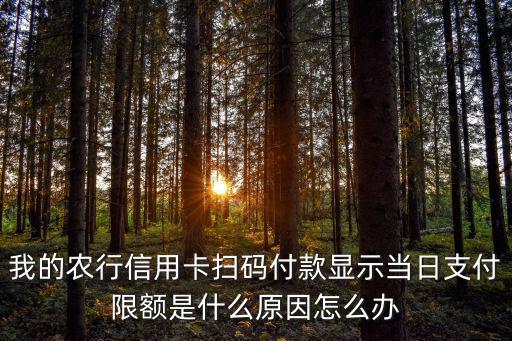 中國農(nóng)行日限額怎么還，農(nóng)行網(wǎng)銀單筆單日支付限額怎么辦