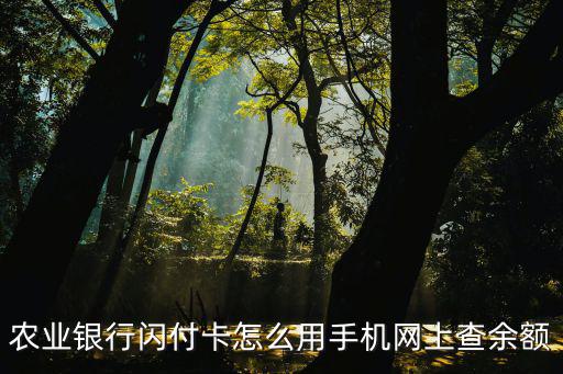 農(nóng)業(yè)銀行閃付卡怎么用手機(jī)網(wǎng)上查余額