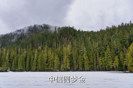 中信圓夢金
