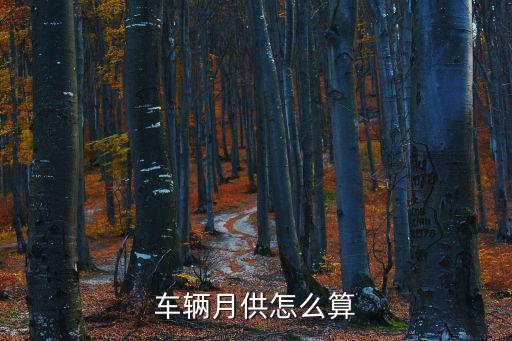 分期車月供怎么算的，車輛月供怎么算