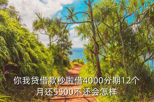 你我貸借款秒啦借4000分期12個(gè)月還5500不還會(huì)怎樣