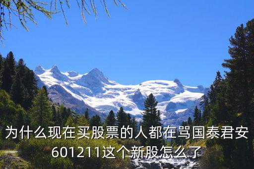 為什么現(xiàn)在買股票的人都在罵國泰君安601211這個(gè)新股怎么了
