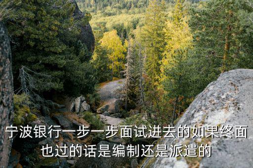 寧波銀行一步一步面試進(jìn)去的如果終面也過的話是編制還是派遣的