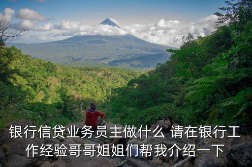信貸業(yè)務(wù)員怎么工作啊，銀行的信貸員具體工作是什么