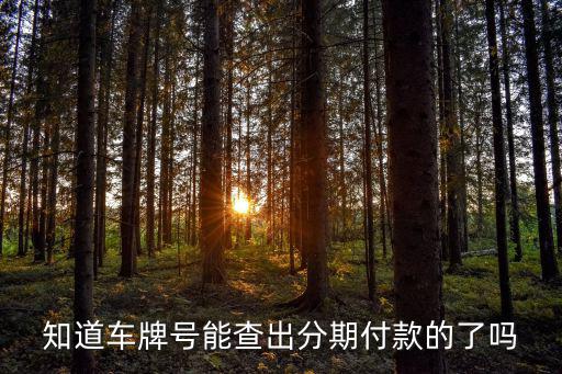 怎么就能看出分期車(chē)，知道車(chē)牌號(hào)能查出分期付款的了嗎