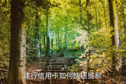 建行怎么提額，建設銀行卡怎么提額