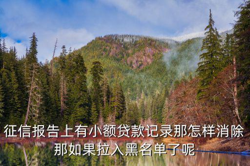 征信報告上有小額貸款記錄那怎樣消除那如果拉入黑名單了呢