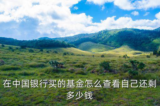在中國銀行買的基金怎么查看自己還剩多少錢