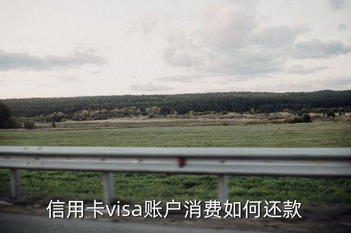 visa和銀聯(lián)要怎么還款嗎，我消費的是銀聯(lián)卡用visa卡號還的款行嗎