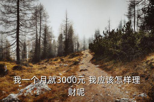 我一個(gè)月就3000元 我應(yīng)該怎樣理財(cái)呢
