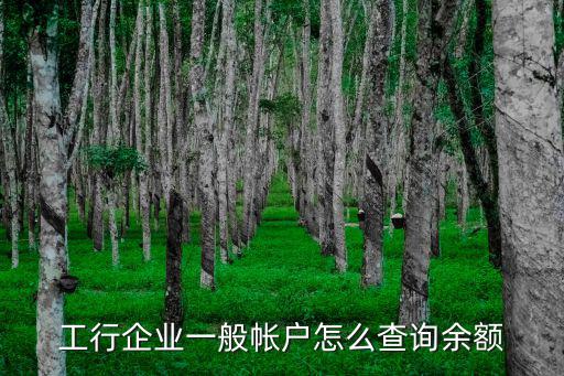 怎么查企業(yè)的余額，企業(yè)支付寶從哪里查看余額