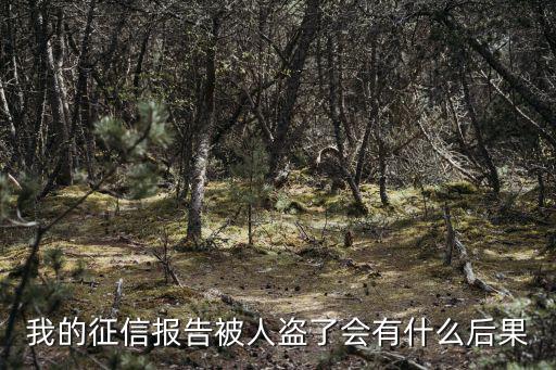 我的征信報(bào)告被人盜了會有什么后果