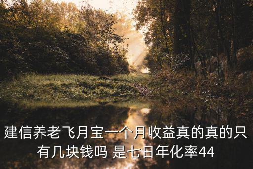 建信養(yǎng)老飛月寶一個月收益真的真的只有幾塊錢嗎 是七日年化率44