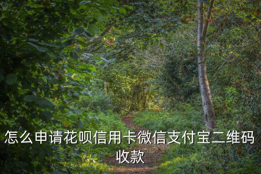 螞蟻花唄微信怎么開通，怎么申請花唄信用卡微信支付寶二維碼收款