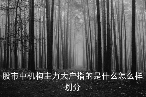 股市中機構(gòu)主力大戶指的是什么怎么樣劃分