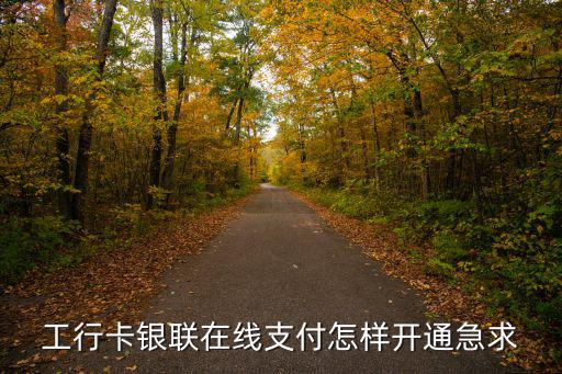 工行卡銀聯(lián)在線支付怎樣開通急求