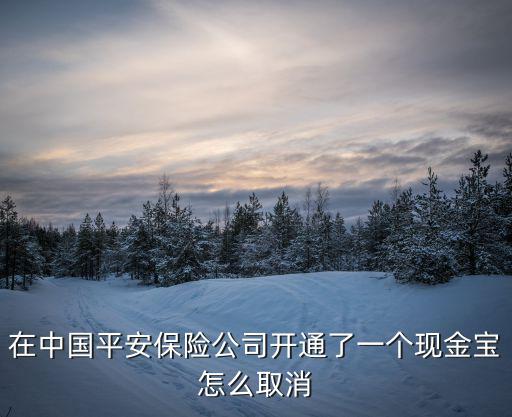 在中國平安保險公司開通了一個現(xiàn)金寶怎么取消