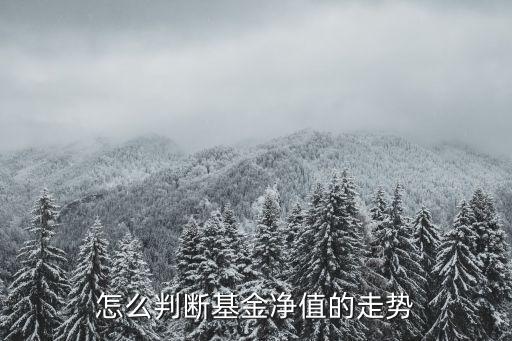 怎么判斷基金凈值的走勢(shì)