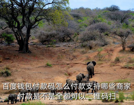 百度錢(qián)包付款碼怎么付款支持哪些商家付款是不是全都可以二維碼掃