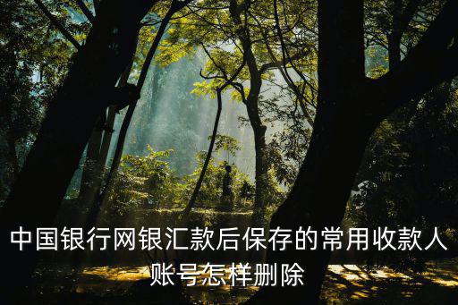 中行app怎么刪除收款人，如何刪除網(wǎng)上銀行帳戶中我的收款人的名單
