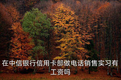 在中信銀行信用卡部做電話銷售實(shí)習(xí)有工資嗎