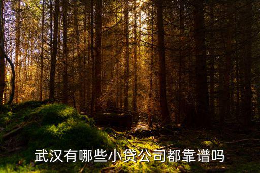 武漢富登小貸怎么樣，武漢有哪些小貸公司都靠譜嗎