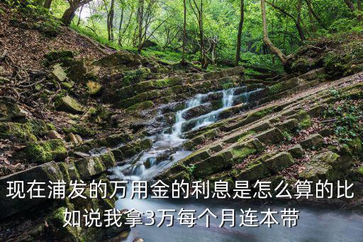 現(xiàn)在浦發(fā)的萬用金的利息是怎么算的比如說我拿3萬每個月連本帶