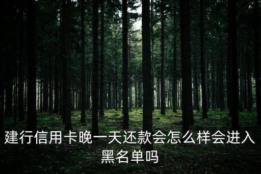 建行信用卡晚一天還款會(huì)怎么樣會(huì)進(jìn)入黑名單嗎