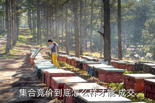 集合競價到底怎么樣才能 成交