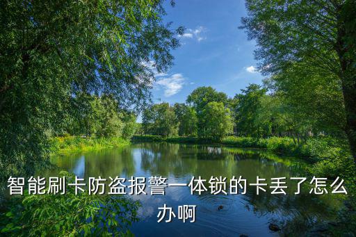 智能刷卡防盜報(bào)警一體鎖的卡丟了怎么辦啊