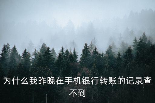 為什么我昨晚在手機(jī)銀行轉(zhuǎn)賬的記錄查不到