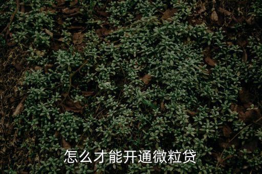 怎么才能開通微粒貸