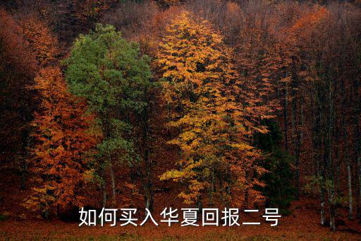 如何買入華夏回報二號