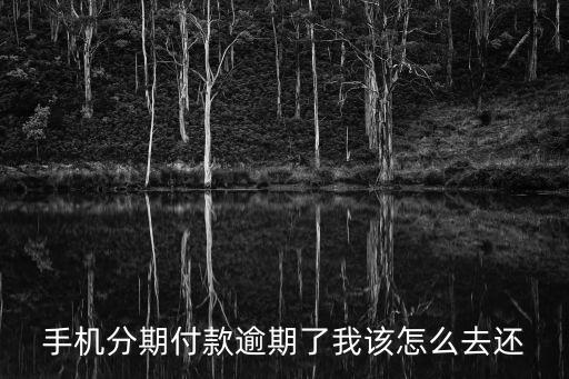 手機(jī)分期付款逾期了我該怎么去還