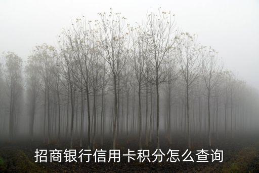 招行非永久積分怎么查，招商銀行信用卡積分怎么查詢