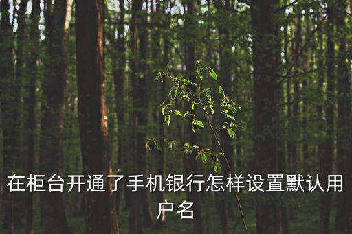 在柜臺開通了手機銀行怎樣設置默認用戶名
