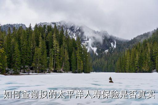 怎么查人壽保險(xiǎn)真假，如何識(shí)別人壽保險(xiǎn)的真假