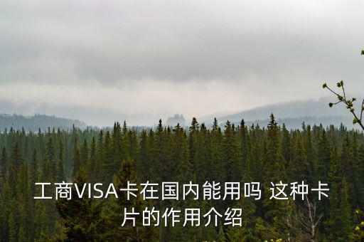 工行的visa套卡怎么用，工商銀行的VISA卡