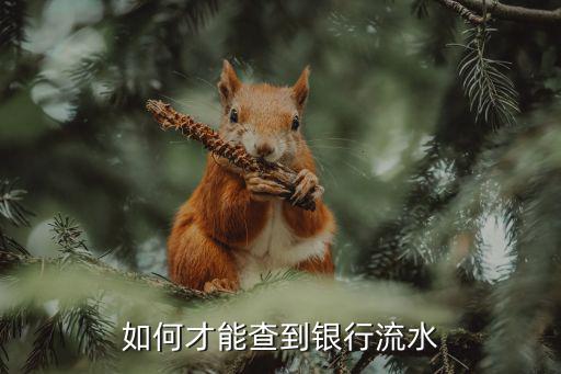 怎么查自己銀行流水，如何才能查到銀行流水