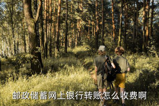 郵政儲蓄網上銀行轉賬怎么收費啊