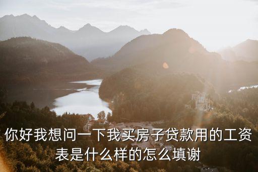 你好我想問一下我買房子貸款用的工資表是什么樣的怎么填謝