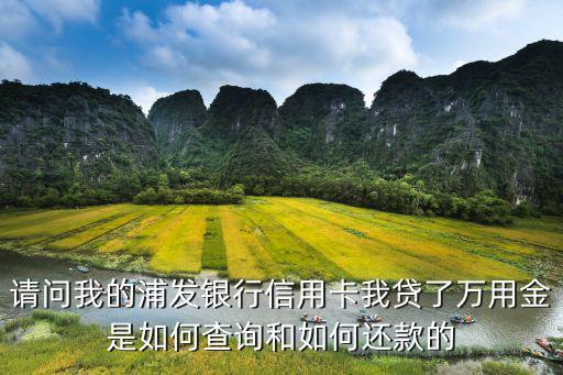 浦發(fā)萬用金還款怎么還，浦發(fā)萬用金怎么還款是跟信用卡賬單一起還嗎