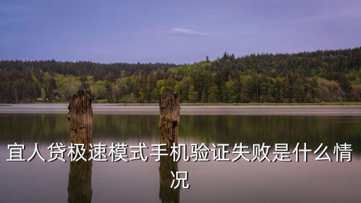 宜人貸怎么解鎖，宜人貸極速模式手機驗證失敗是什么情況