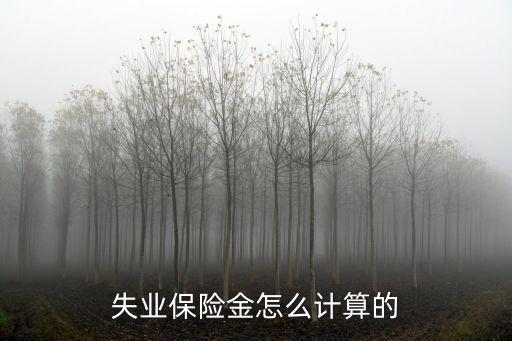 失業(yè)保險(xiǎn)金怎么計(jì)算的